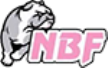 Nico Basket