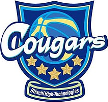 Hitachi High-Technologies Cougars Hitachi High-Technologies Cougars
