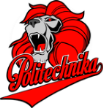 Politechnika Gdanska