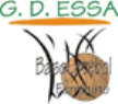 GDESSA Barreiro
