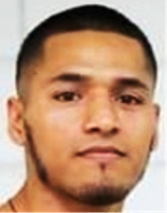 Raul Ortega