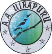 Uirapuru U20 Uirapuru U20