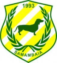 Samambaia