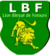 Lion Blessé Lion Blessé