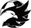Toronto Falcons Toronto Falcons