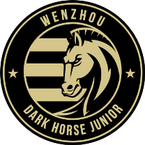 Wenzhou Professional