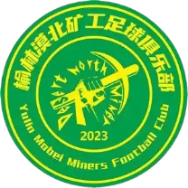Yulin Mobei Miners