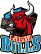 Larkana Bulls