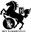 MTV Stallions