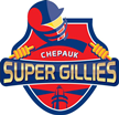 Chepauk Super Gillies
