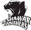 Peshawar Panthers