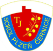 Sokol Plzeň-Černice Sokol Plzeň-Černice