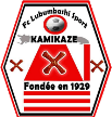 Lubumbashi Sport