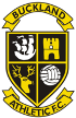 Buckland Athletic Buckland Athletic