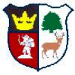 Cinderford Town