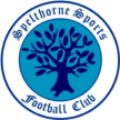 Spelthorne Sports Spelthorne Sports