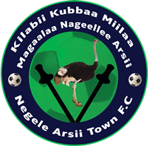 Negele Arsi Ketema