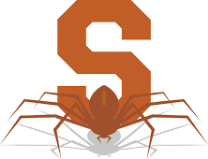Brown Spiders