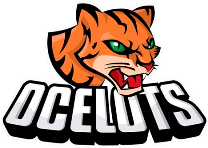 Jundiaí Ocelots