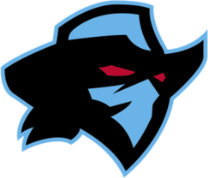Dallas Renegades