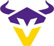 Vikings Vienna