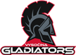 Vysočina Gladiators