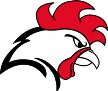 Helsinki Roosters
