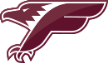 Bron-Villeurbanne Falcons