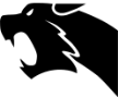 Saint-Ouen-lAumône Cougars