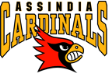 Assindia Cardinals