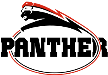 Düsseldorf Panther