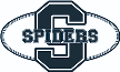 Straubing Spiders