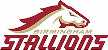 Birmingham Stallions