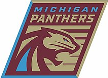 Michigan Panthers