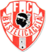 Bastelicaccia