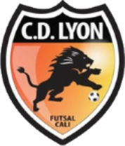CD Lyon CD Lyon