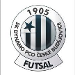 Dynamo České Budějovice Dynamo České Budějovice