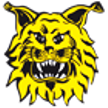 Ilves Tampere