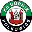 Górnik Polkowice Górnik Polkowice