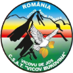 Bukovina Vicov