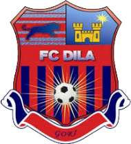 Dila Gori