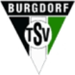 Burgdorf