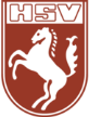 Hammer SpVg Hammer SpVg