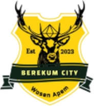 Berekum City Berekum City