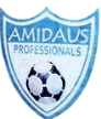 Amidaus Professionals Amidaus Professionals