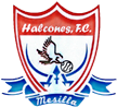 Halcones FC Halcones FC