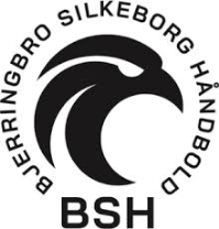 Bjerringbro SV
