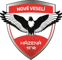 Házená Nové Veselí