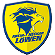 Rhein-Neckar Löwen
