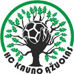 Kauno Ąžuolas Kauno Ąžuolas